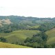 Monte Leone in Le Marche_10